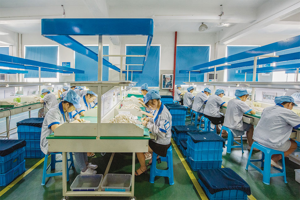 Quality inspection workshop