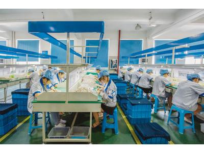 Quality inspection workshop